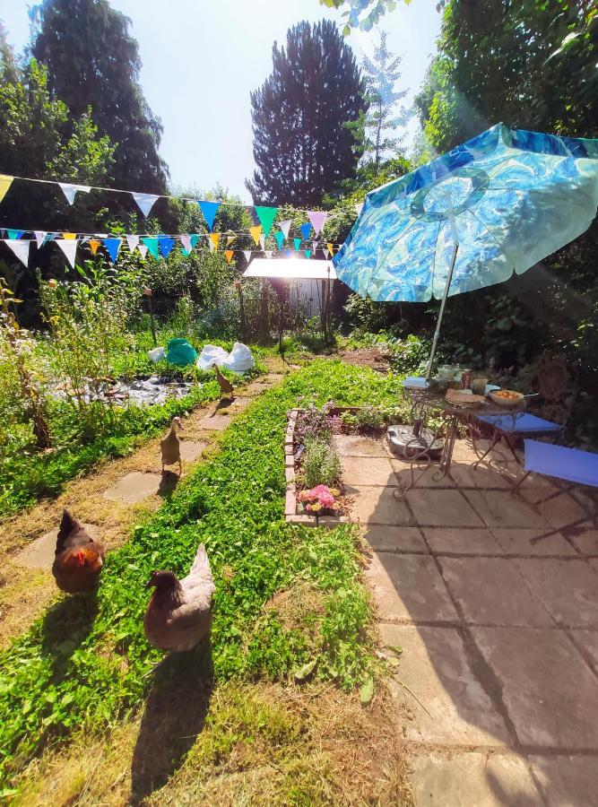 Modernes Zimmer Am Park Mit Garten, Huehner & Enten มิวนิก ภายนอก รูปภาพ