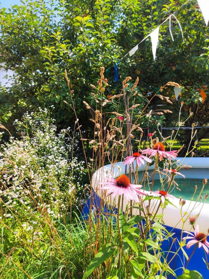 Modernes Zimmer Am Park Mit Garten, Huehner & Enten มิวนิก ภายนอก รูปภาพ
