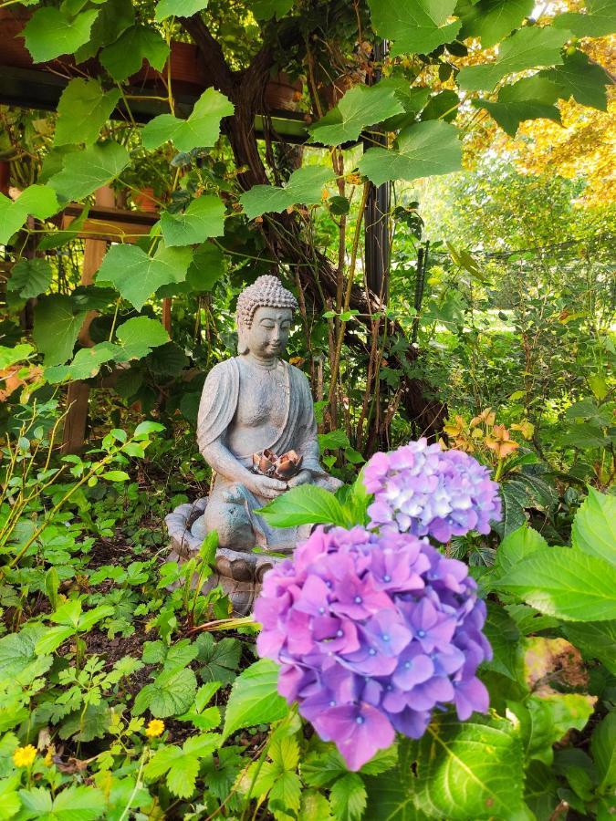 Modernes Zimmer Am Park Mit Garten, Huehner & Enten มิวนิก ภายนอก รูปภาพ