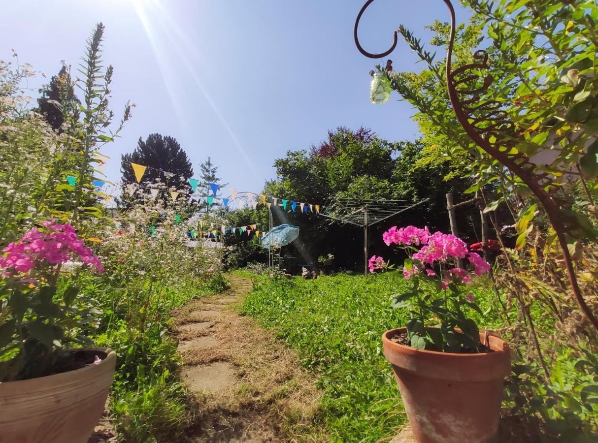 Modernes Zimmer Am Park Mit Garten, Huehner & Enten มิวนิก ภายนอก รูปภาพ